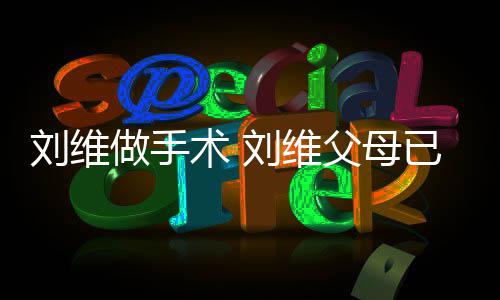 人他一刘维刘维术 世 已过做手只剩父母