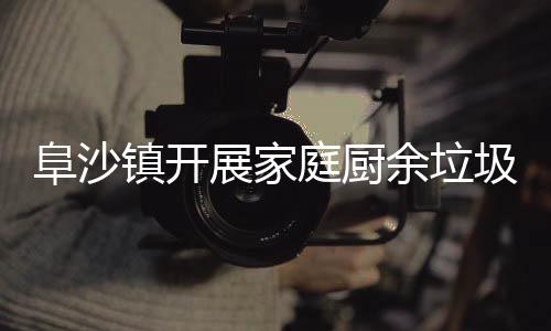 户宣庭厨传类入余垃圾分镇开展家阜沙